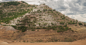 découvrez nos conseils et astuces pour comprendre le langage de programmation 'cl'. idéal pour débutants et développeurs, apprenez à maîtriser les bases et à créer des projets innovants. explorez notre contenu riche et engageant dès aujourd'hui !