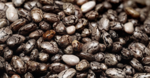 découvrez les bienfaits des protéines végétales : une source nutritionnelle riche et durable, idéale pour les végétariens, les véganes et tous ceux cherchant à diversifier leur alimentation tout en privilégiant la santé et l'environnement.