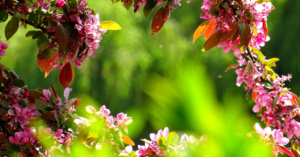 découvrez l'essence de la nature avec notre gamme de produits naturels, alliant pureté et efficacité pour un bien-être au quotidien. explorez des alternatives saines et respectueuses de l'environnement pour améliorer votre style de vie.