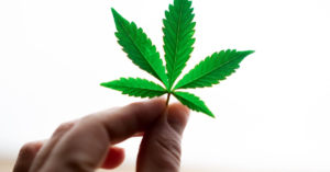 découvrez la naturopathie, une approche holistique de la santé qui privilégie le bien-être naturel et préventif. apprenez à soulager vos maux grâce à des méthodes naturelles, des conseils nutritionnels et des techniques de relaxation. adoptez un mode de vie sain et équilibré avec nos experts en naturopathie.