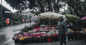 découvrez les fleurs de bach, une approche naturelle pour harmoniser vos émotions et améliorer votre bien-être. apprenez à utiliser les remèdes floraux pour apaiser le stress, la mélancolie et retrouver votre équilibre intérieur.