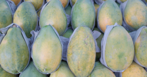 découvrez tout ce qu'il faut savoir sur les enzymes hépatiques : leur rôle essentiel dans l'organisme, les facteurs pouvant influencer leurs niveaux et les indications de tests pour évaluer la santé du foie.