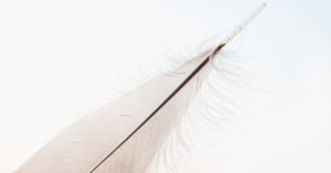 découvrez le symbole de la légèreté et de la pureté avec nos plumes blanches. que ce soit pour la décoration, la mode ou des projets artistiques, explorez l'élégance intemporelle d'une plume blanche qui apportera sérénité et beauté à vos créations.