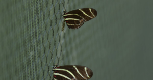 découvrez l'importance du rythme circadien pour votre santé et votre bien-être. apprenez comment ces cycles naturels influent sur votre sommeil, votre énergie et votre humeur, et explorez des conseils pour harmoniser votre mode de vie avec votre horloge biologique.