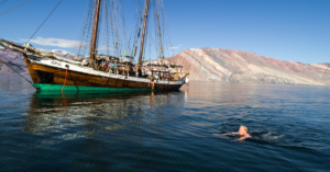 découvrez l'éclat unique de l'opale, cette pierre précieuse aux reflets fascinants. apprenez-en plus sur ses origines, ses propriétés et son utilisation en bijouterie pour sublimer votre style.
