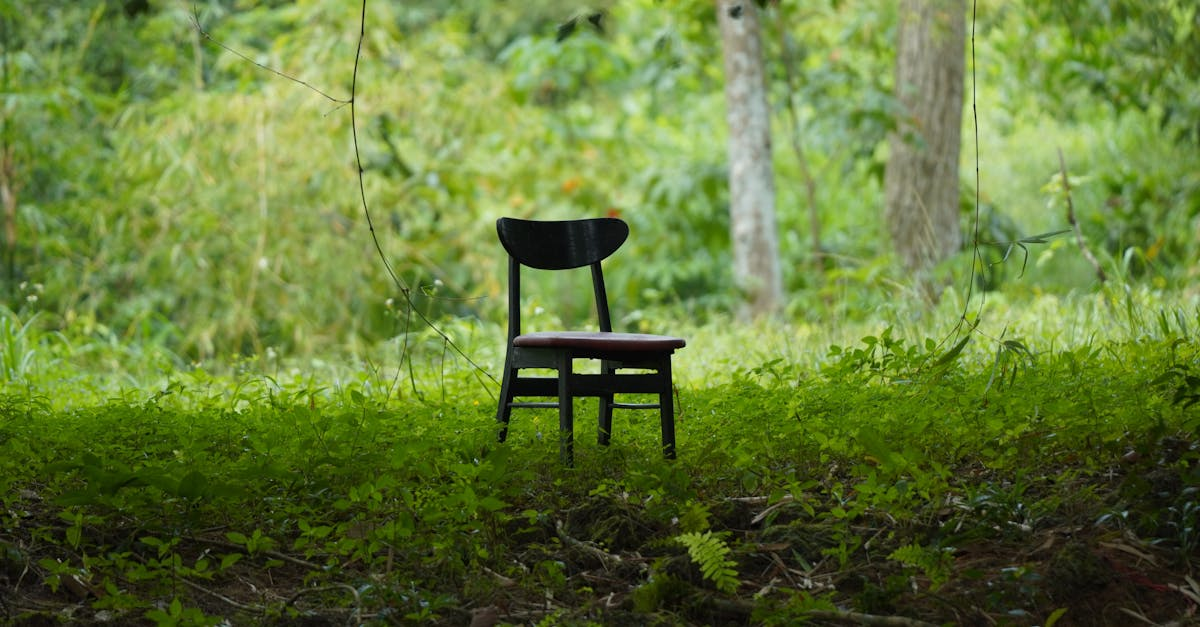découvrez la spagyrie végétale : une méthode ancestrale d’extraction des principes actifs des plantes pour offrir des remèdes naturels et holistiques, alliant alchimie et bien-être au quotidien.
