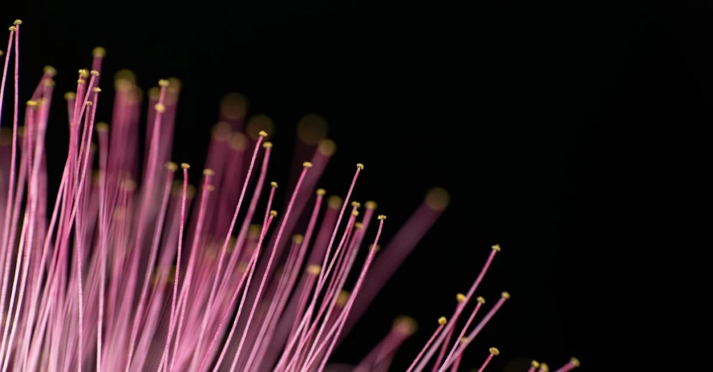 découvrez la plante spagyrique, une approche ancestrale de la phytothérapie qui associe alchimie et bien-être naturel pour optimiser les bienfaits des plantes médicinales.