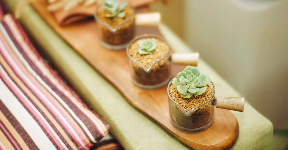 découvrez la spagyrie végétale : une méthode ancestrale d'extraction et de préparation des plantes médicinales, combinant alchimie et phytothérapie pour offrir des remèdes naturels puissants et holistiques.