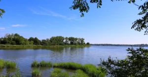 découvrez comment combiner différentes plantes dans un élixir spagyrique pour optimiser leurs bienfaits naturels et créer des remèdes puissants.