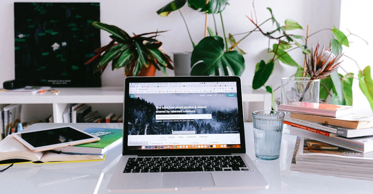 découvrez l'extraction des minéraux essentiels à partir des plantes spagyriques, une méthode traditionnelle alliant science et alchimie pour maximiser les bienfaits naturels.