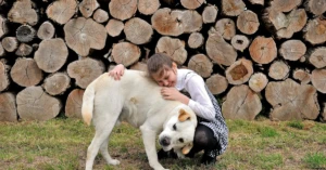 découvrez le dosage recommandé de l'élixir spagyrique pour les enfants, pour une utilisation sûre et efficace en phytothérapie.