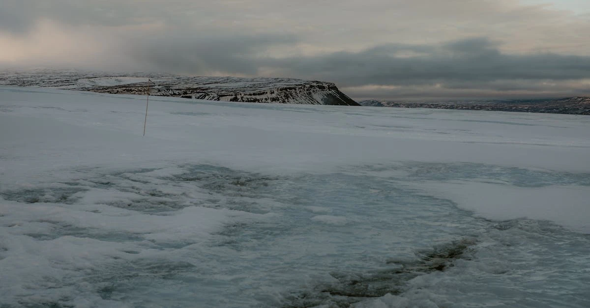 découvrez tout sur la température : définitions, mesures, effets et importance dans notre quotidien et la science.