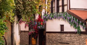 découvrez notre sélection de décoration d'intérieur naturelle alliant élégance et authenticité pour un foyer chaleureux et écologique.