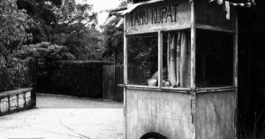 découvrez notre cuisine locale authentique, préparée avec des ingrédients frais et des recettes traditionnelles pour une expérience culinaire unique.