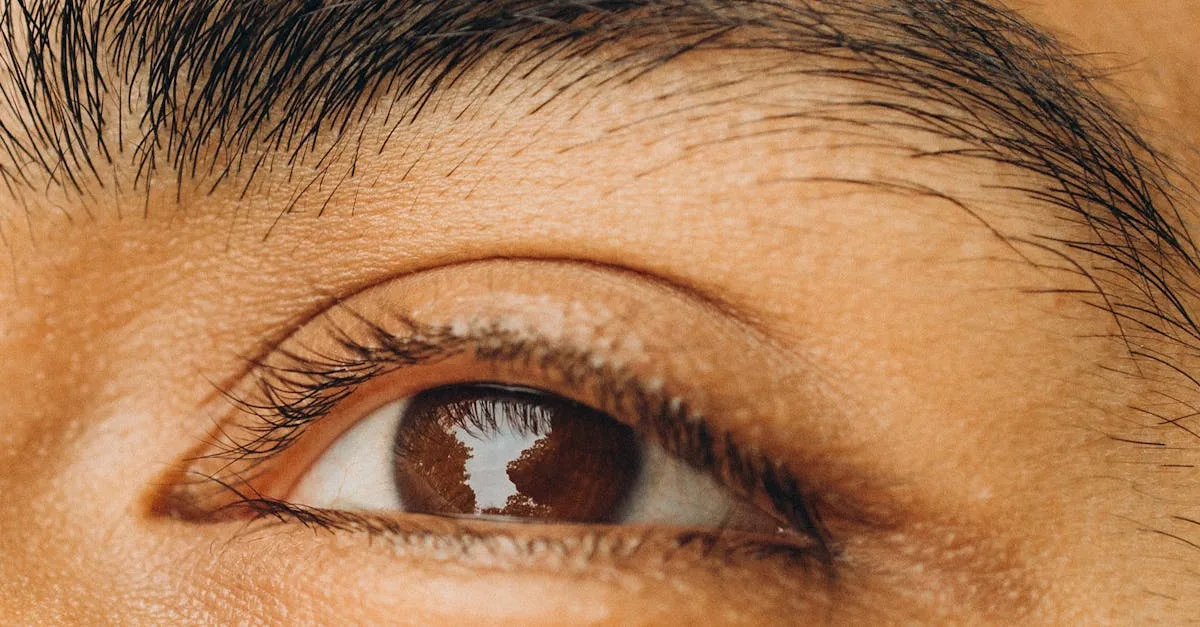 Yeux marron vert au soleil pourquoi cette couleur changetelle selon — free download