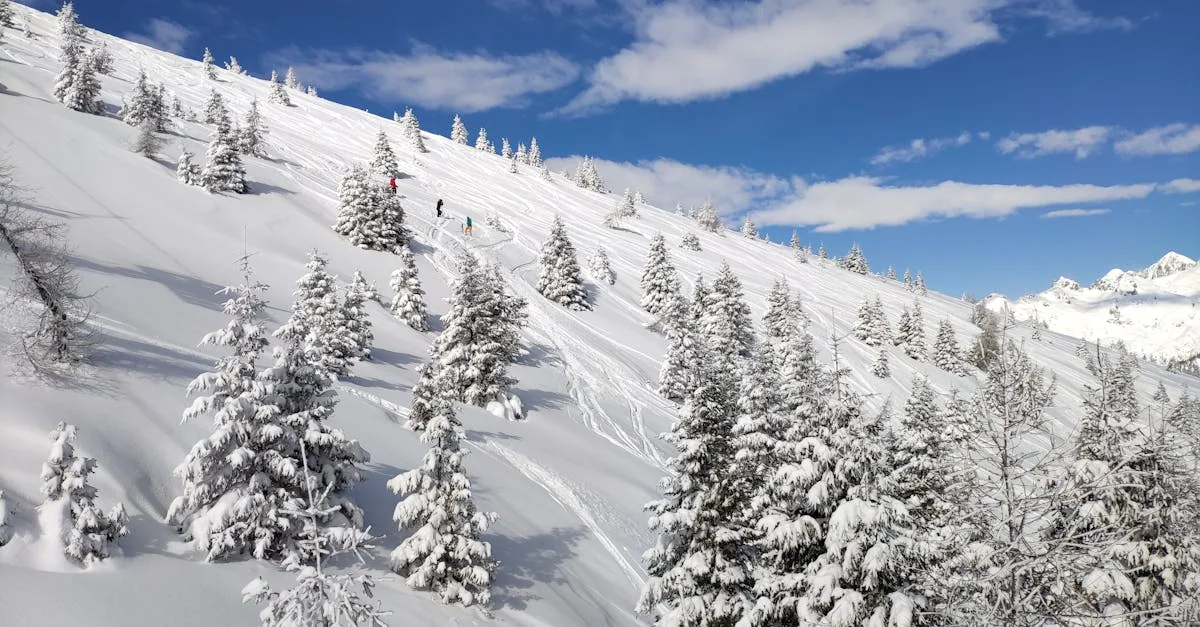 découvrez triplette de belleville, une aventure incontournable mêlant humour et émotion dans le paris authentique. plongez dans l'univers unique de cette comédie dramatique pleine de charme.