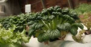découvrez l'aquaponie, une méthode durable alliant culture de plantes et élevage de poissons pour un écosystème autonome et écologique.