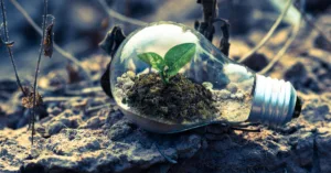 découvrez les réglementations environnementales essentielles pour protéger la planète et assurer une gestion durable des ressources naturelles.
