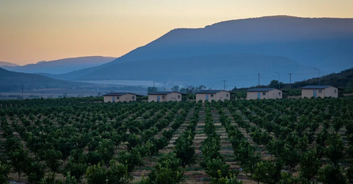 découvrez notre ferme écologique, engagée dans des pratiques durables pour préserver l'environnement tout en produisant des aliments sains et naturels.