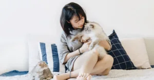 découvrez comment favoriser une cohabitation harmonieuse entre les chats et les humains grâce à des conseils pratiques et un meilleur compréhension mutuelle.